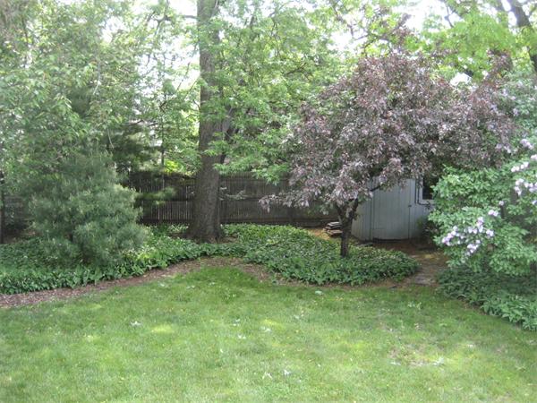101 Florence Street Everett, MA 02149 - Photo 16 of 18