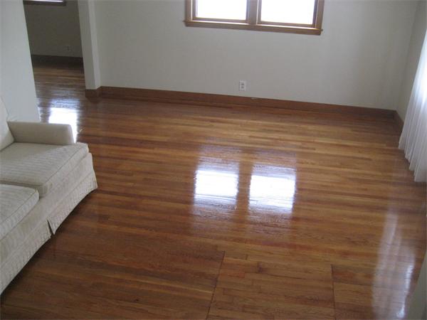 101 Florence Street Everett, MA 02149 - Photo 6 of 18