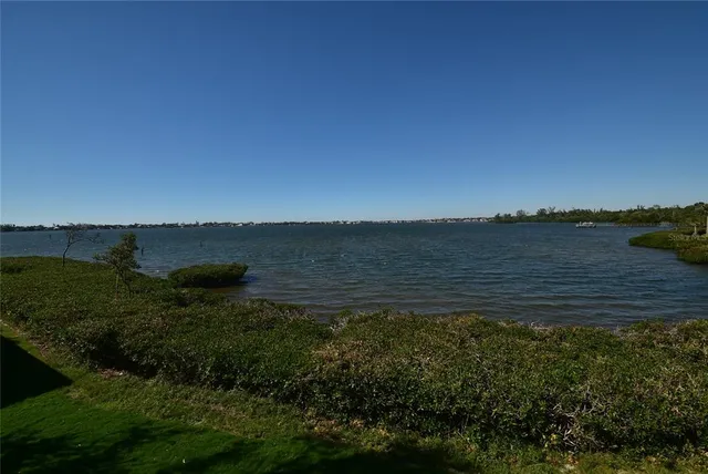 a view of a lake with a city