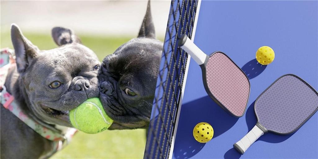 13705 West Guilford Road Leawood, KS 66224 - Photo 34 of 37