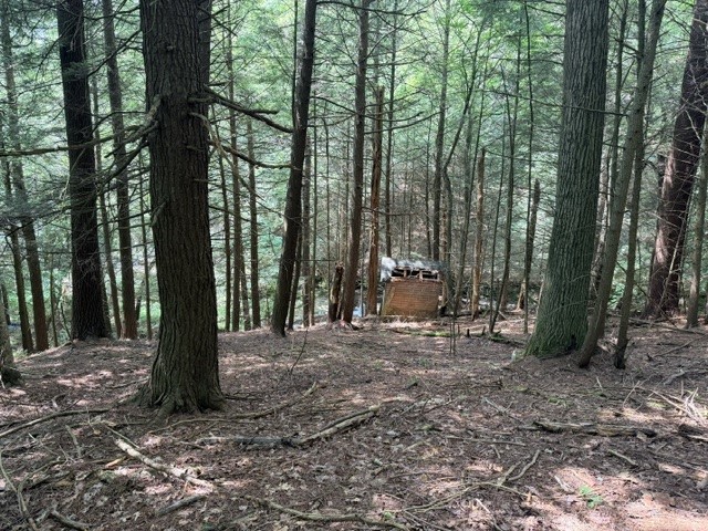 Lot 35 Webster Brook Road Bloomville, NY 13739 - Photo 30 of 42