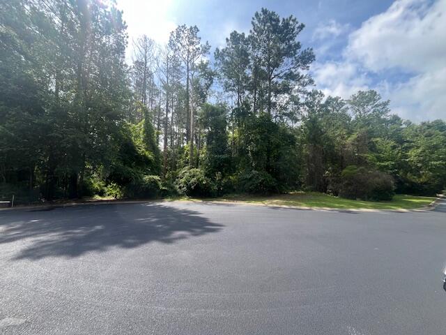 25 Millrun Drive Sumter, SC 29154 - Photo 2 of 10