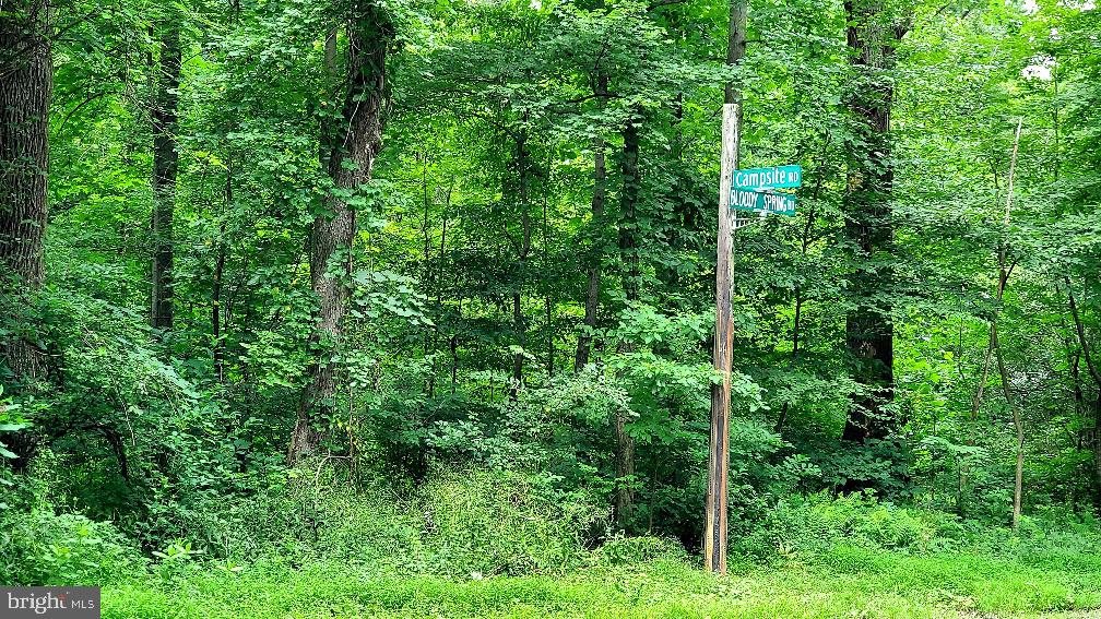 Lot 1 Bloody Spring Road Bernville, PA 19506 - Photo 6 of 12 Gallery Image 6