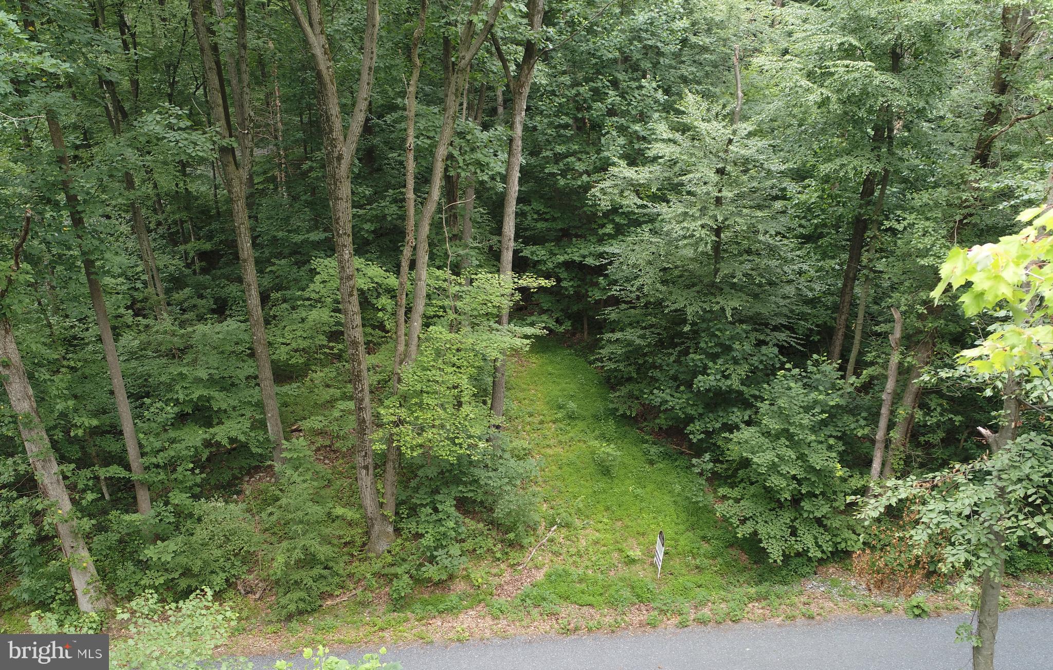 Lot 1 Bloody Spring Road Bernville, PA 19506 - Photo 8 of 12 Gallery Image 8