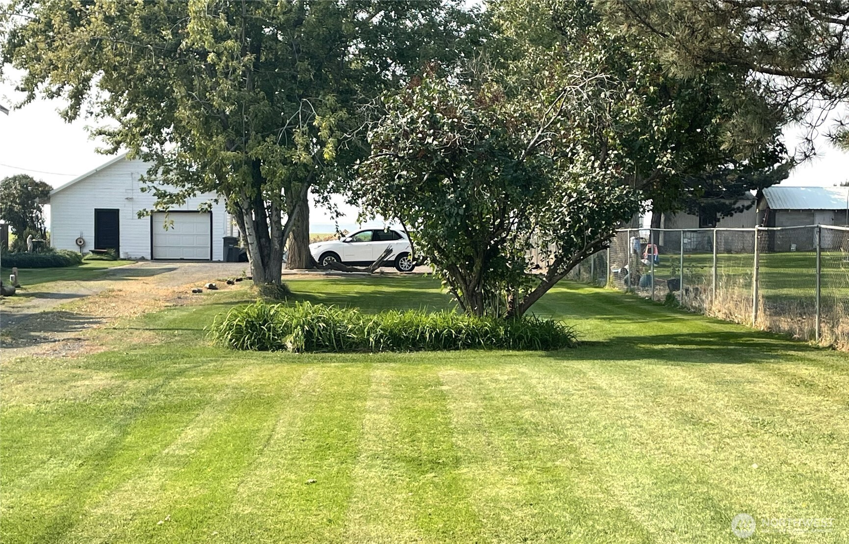 1113 South County Road Warden, WA 98857 - Photo 9 of 40 a view of a house with a big yard and large trees