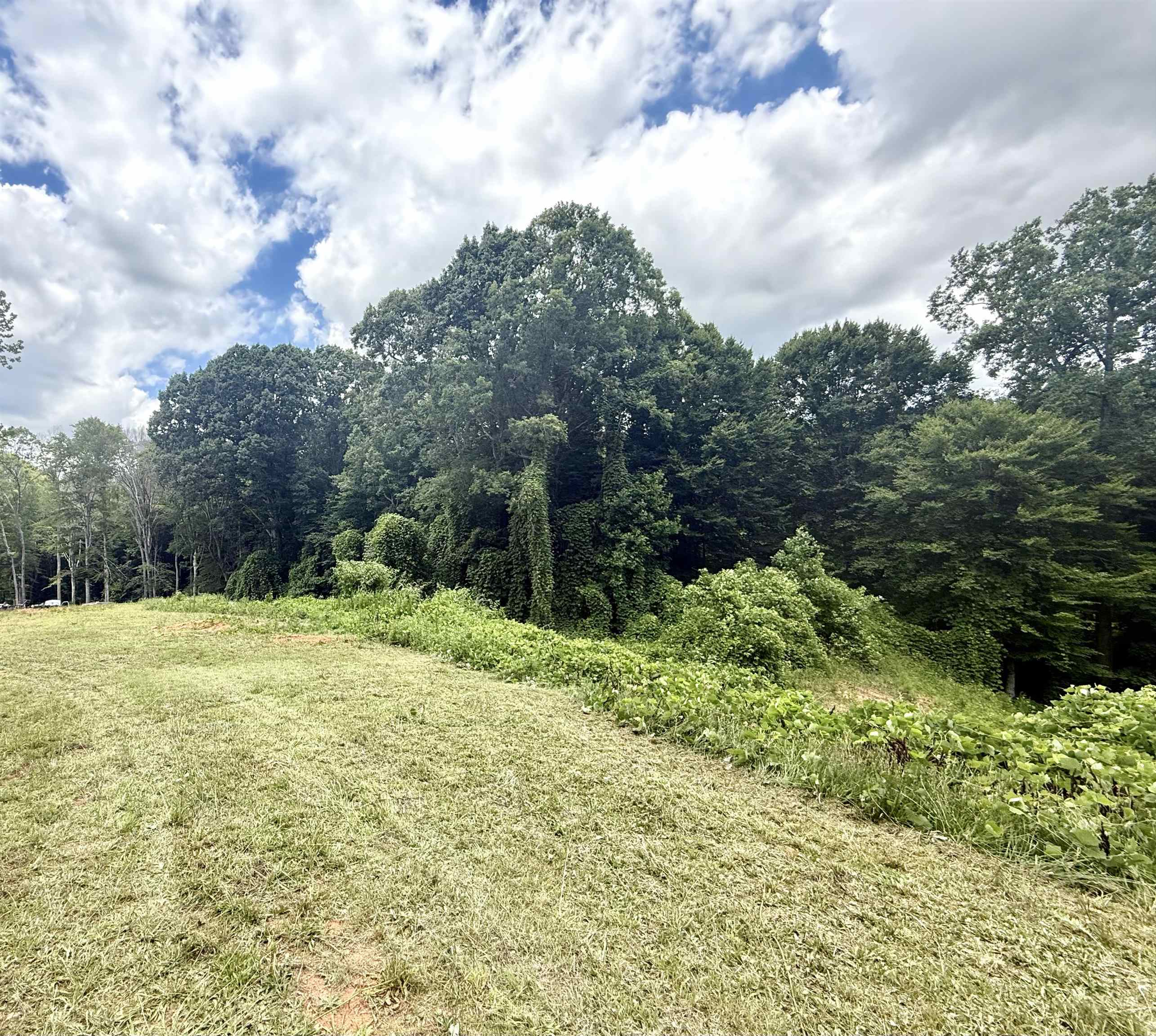 624 Pearson Town Road Moore, SC 29369 - Photo 2 of 15