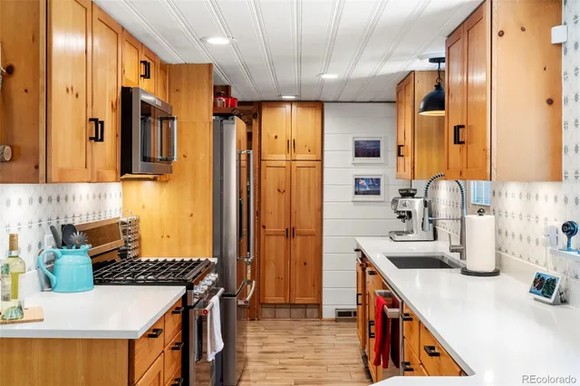 a kitchen with a refrigerator a sink and a refrigerator