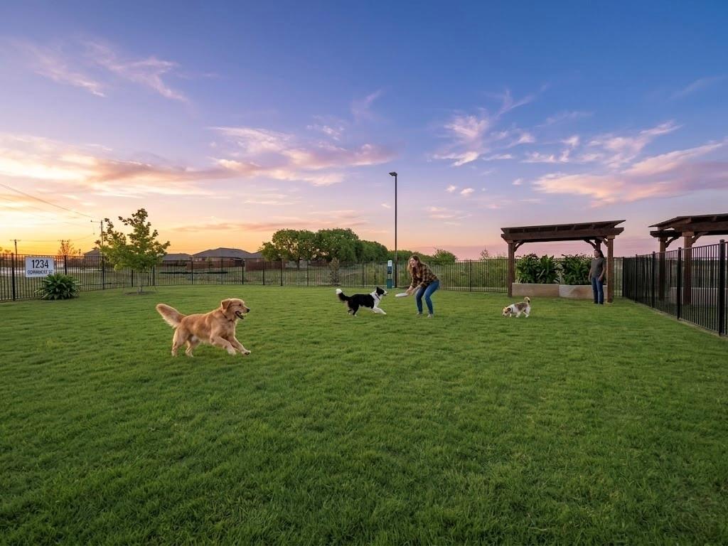 14033 Earlham Street Pilot Point, TX 76258 - Photo 30 of 32 DOG PARK 12 HOMES AWAY --VIRTUALLY ENHANCED