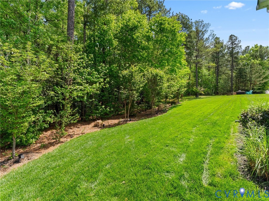8461 Highmarker Court Chesterfield, VA 23832 - Photo 11 of 72