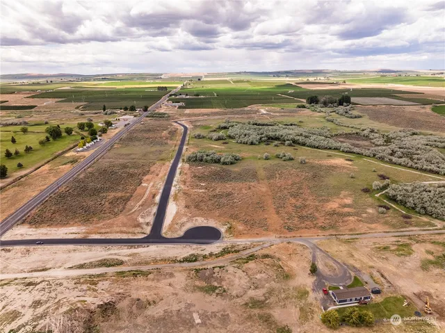 a view of an ocean beach