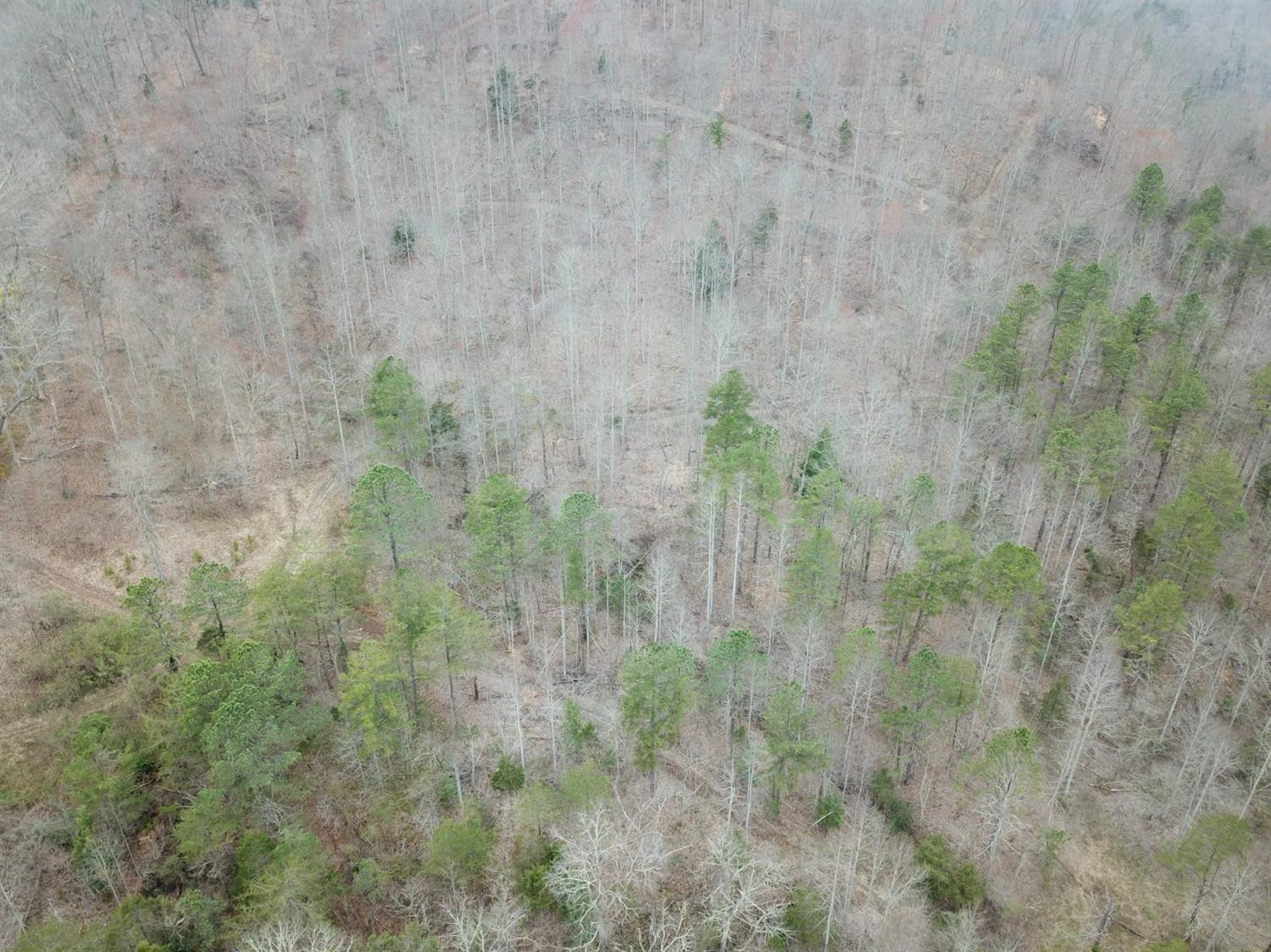 186 Viney Bottom Road McKee, KY 40447 - Photo 27 of 47 Listing Photo