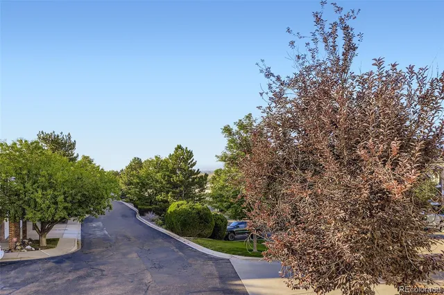 a view of a yard with plants and a bench
