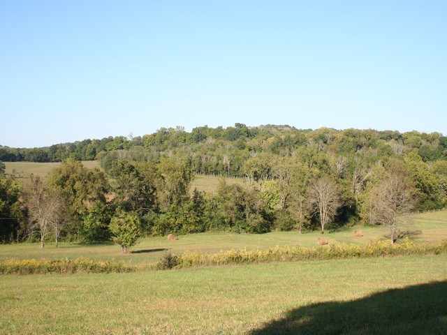 0 Harris Road Lewisburg, TN 37091 - Photo 3 of 15 Gallery Image 3