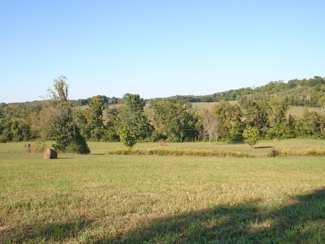 0 Harris Road Lewisburg, TN 37091 - Photo 4 of 15 Gallery Image 4
