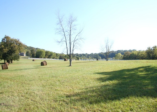 0 Harris Road Lewisburg, TN 37091 - Photo 5 of 15 Gallery Image 5