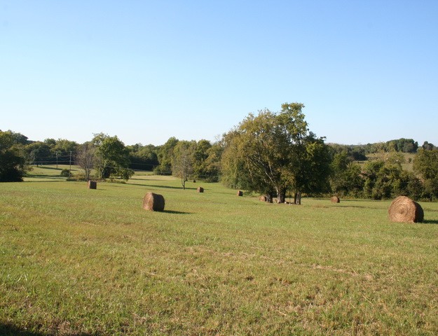 0 Harris Road Lewisburg, TN 37091 - Photo 9 of 15 Gallery Image 9