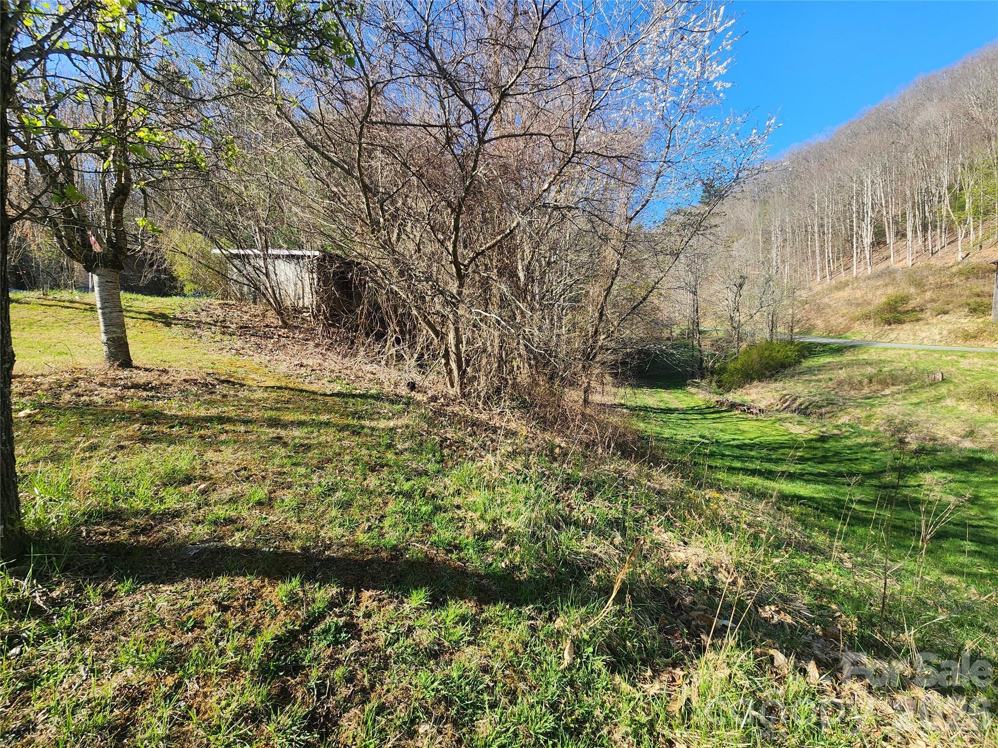 1025 Chandler Cove Road Marshall, NC 28753 - Photo 25 of 46