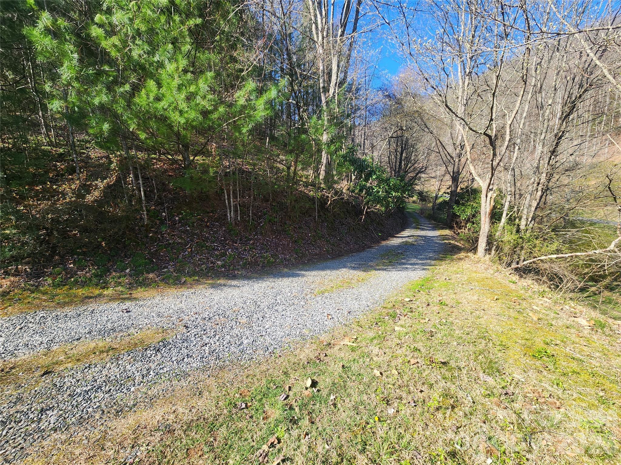1025 Chandler Cove Road Marshall, NC 28753 - Photo 26 of 46