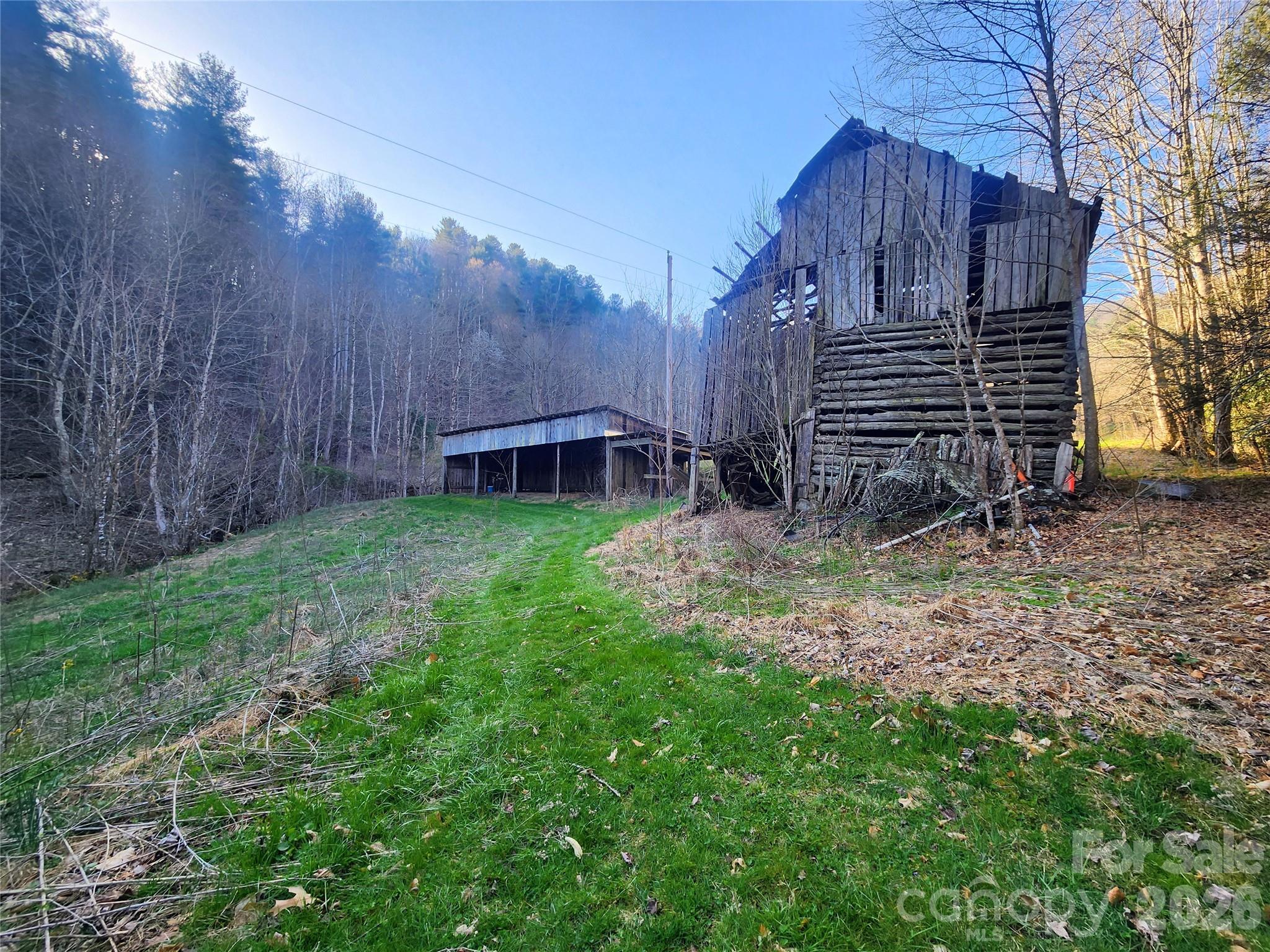 1025 Chandler Cove Road Marshall, NC 28753 - Photo 29 of 46