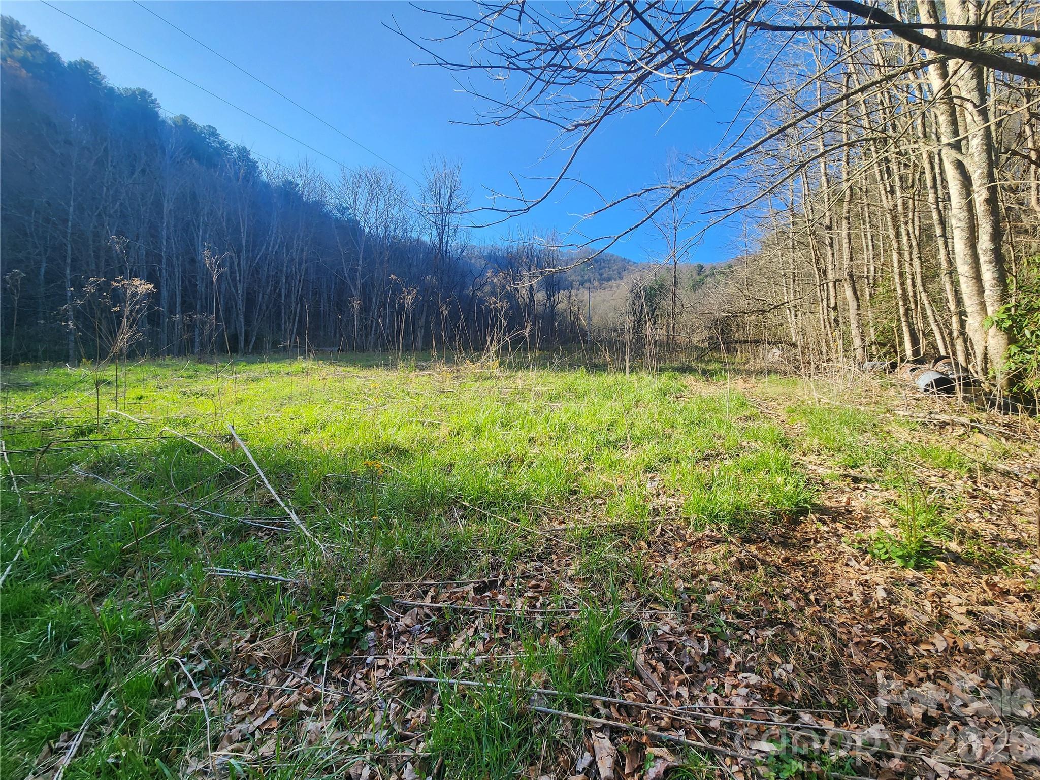 1025 Chandler Cove Road Marshall, NC 28753 - Photo 30 of 46