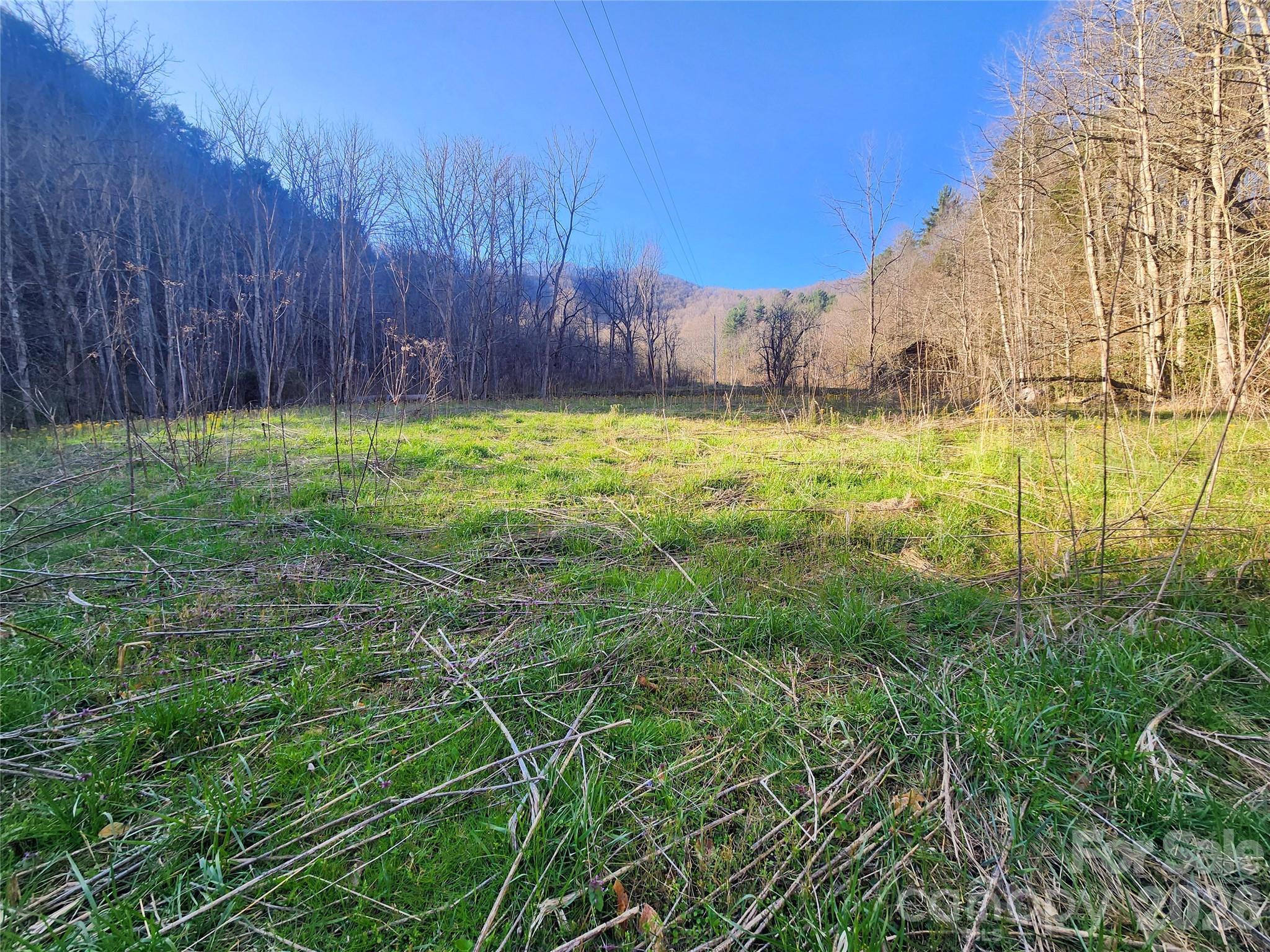 1025 Chandler Cove Road Marshall, NC 28753 - Photo 31 of 46