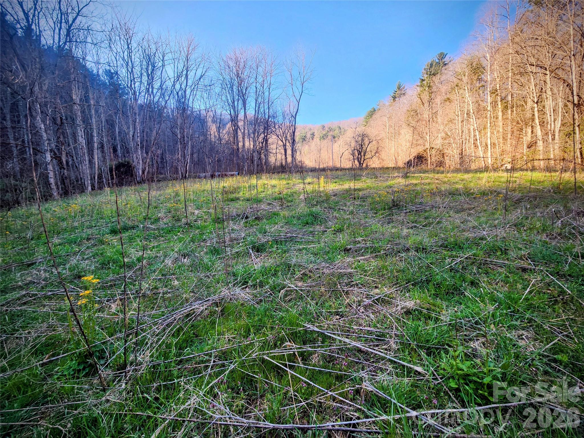 1025 Chandler Cove Road Marshall, NC 28753 - Photo 33 of 46