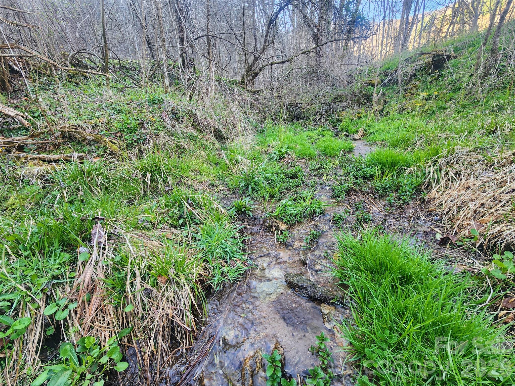 1025 Chandler Cove Road Marshall, NC 28753 - Photo 35 of 46