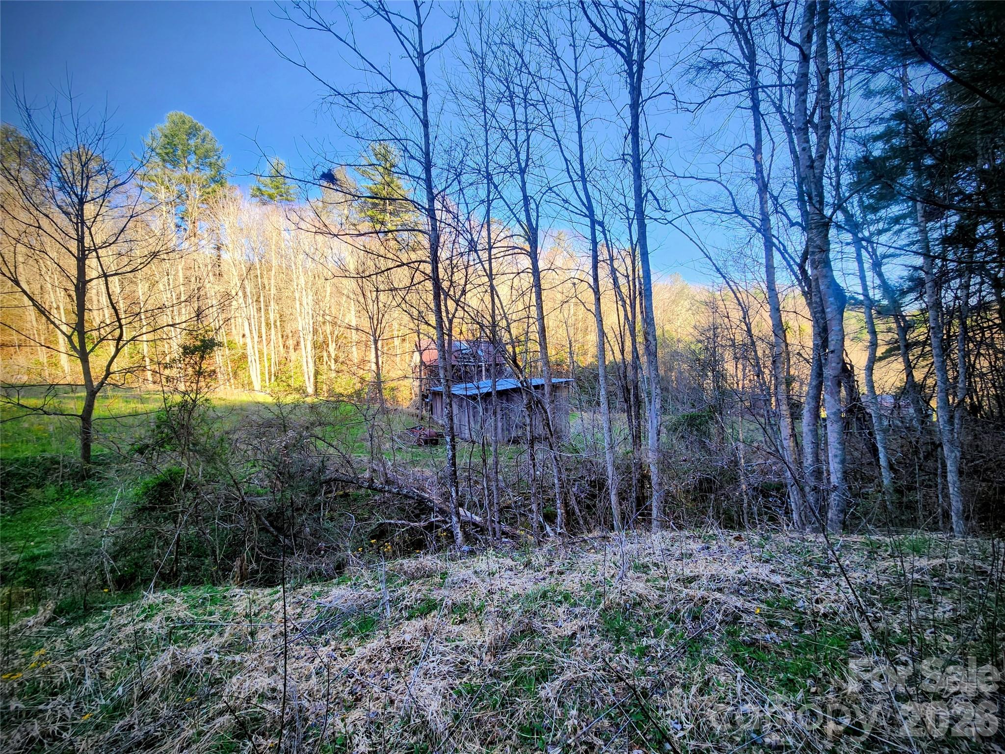 1025 Chandler Cove Road Marshall, NC 28753 - Photo 36 of 46