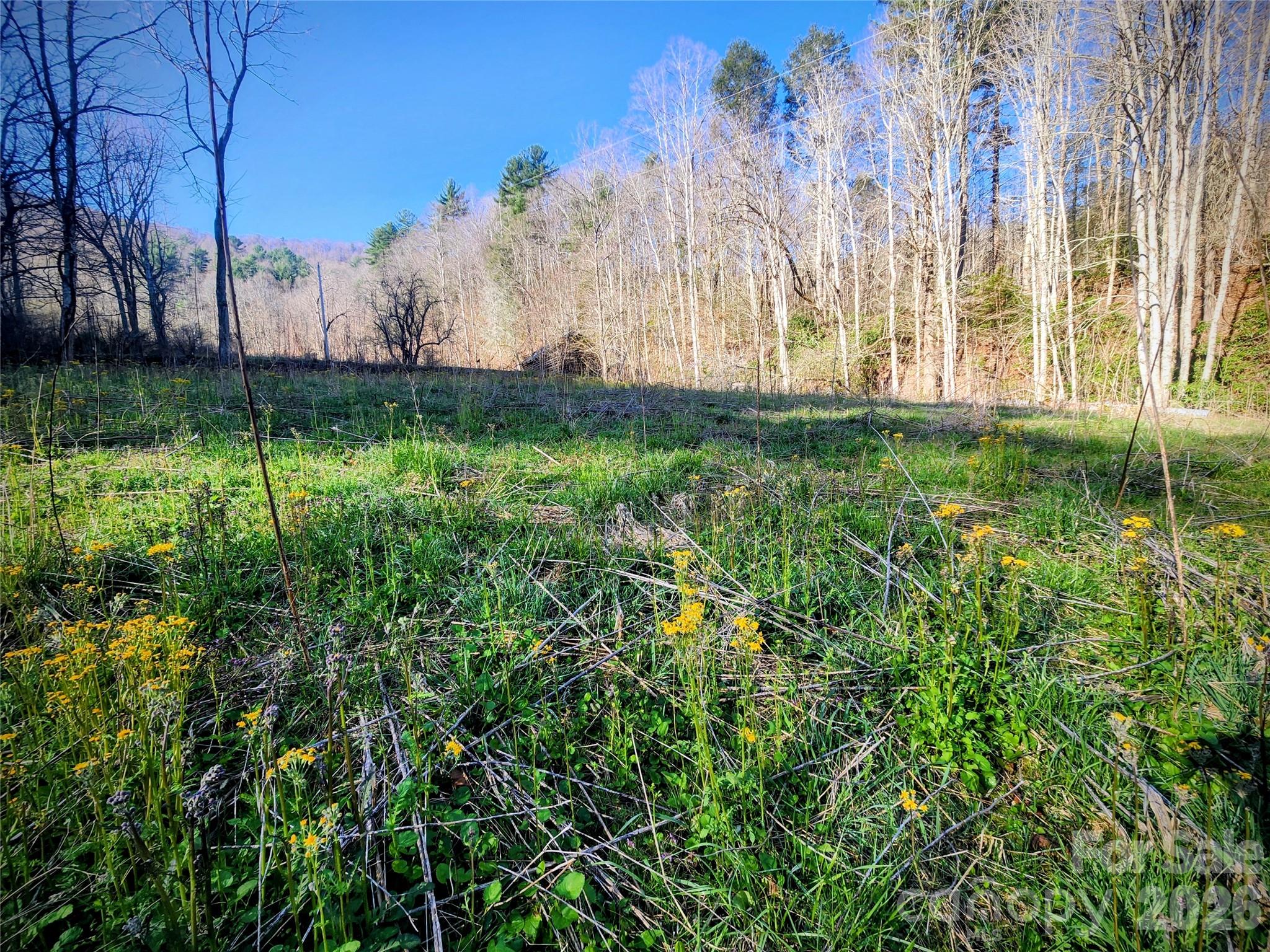1025 Chandler Cove Road Marshall, NC 28753 - Photo 37 of 46