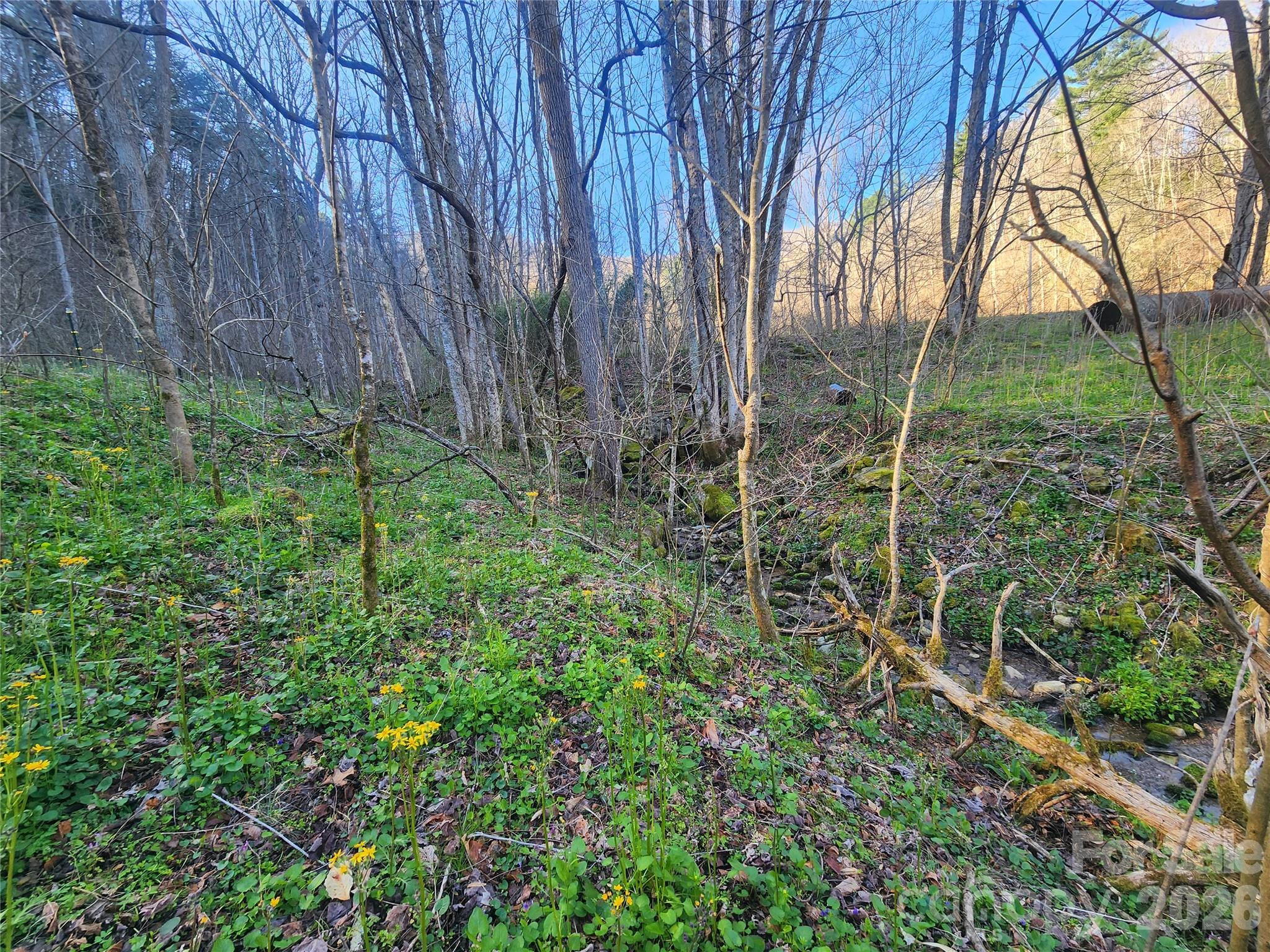 1025 Chandler Cove Road Marshall, NC 28753 - Photo 40 of 46