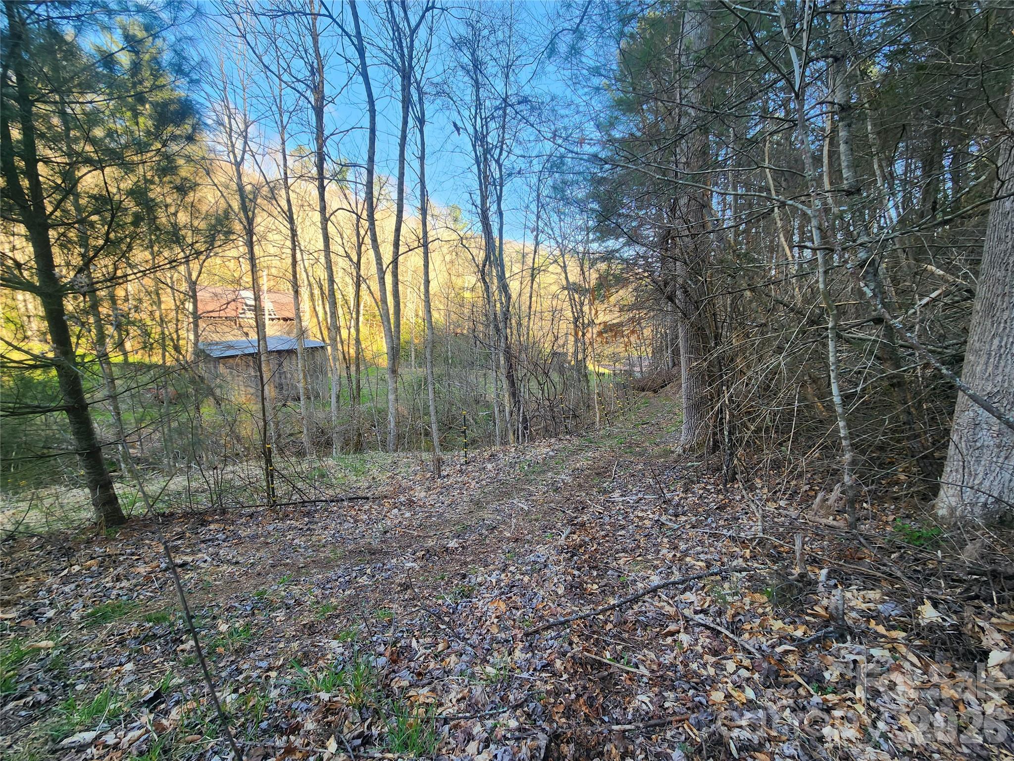 1025 Chandler Cove Road Marshall, NC 28753 - Photo 44 of 46