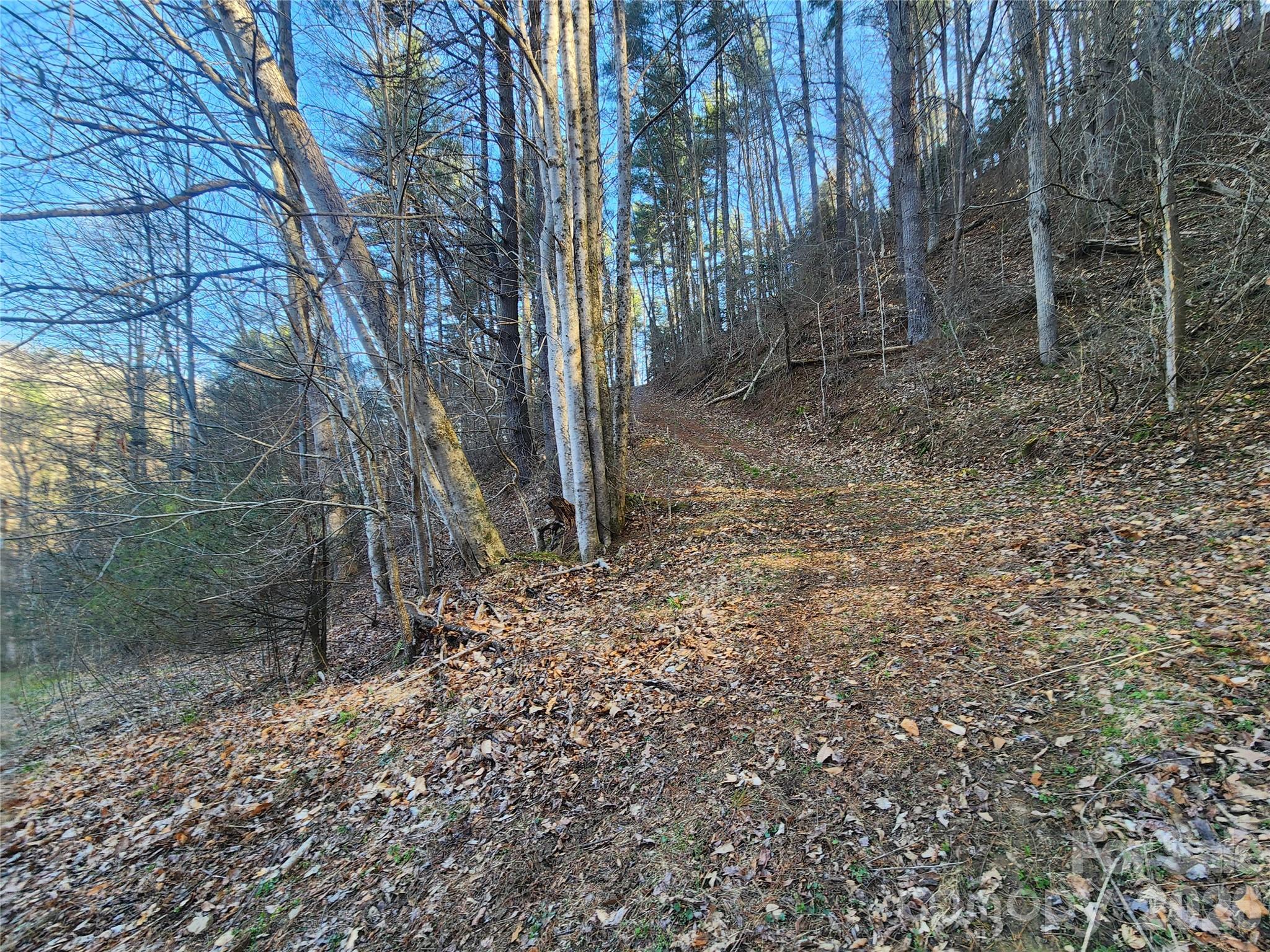 1025 Chandler Cove Road Marshall, NC 28753 - Photo 45 of 46