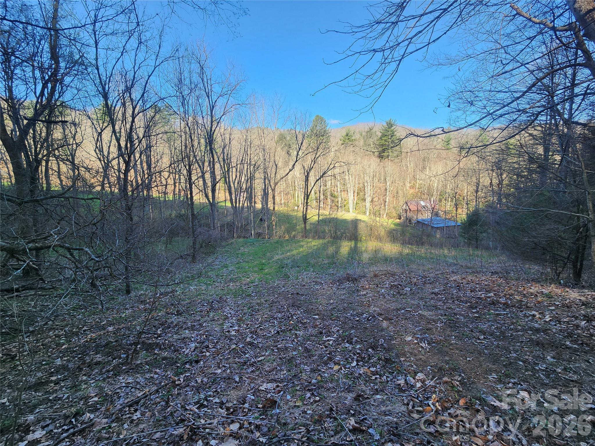 1025 Chandler Cove Road Marshall, NC 28753 - Photo 46 of 46