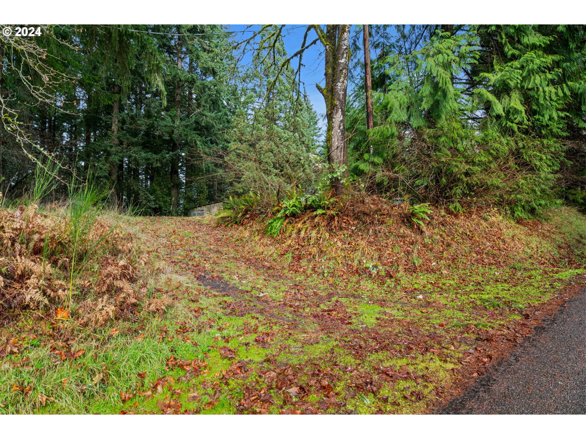 25111 Butler Road Junction City, OR 97448 - Photo 34 of 47 Gallery Image 34
