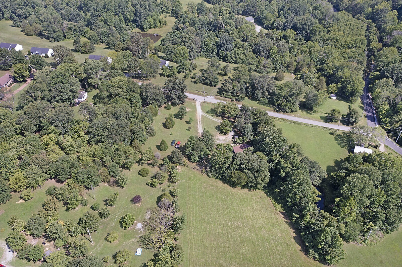 420 East Biggs Road Portland, TN 37148 - Photo 33 of 36 a view of a yard with plants and large trees
