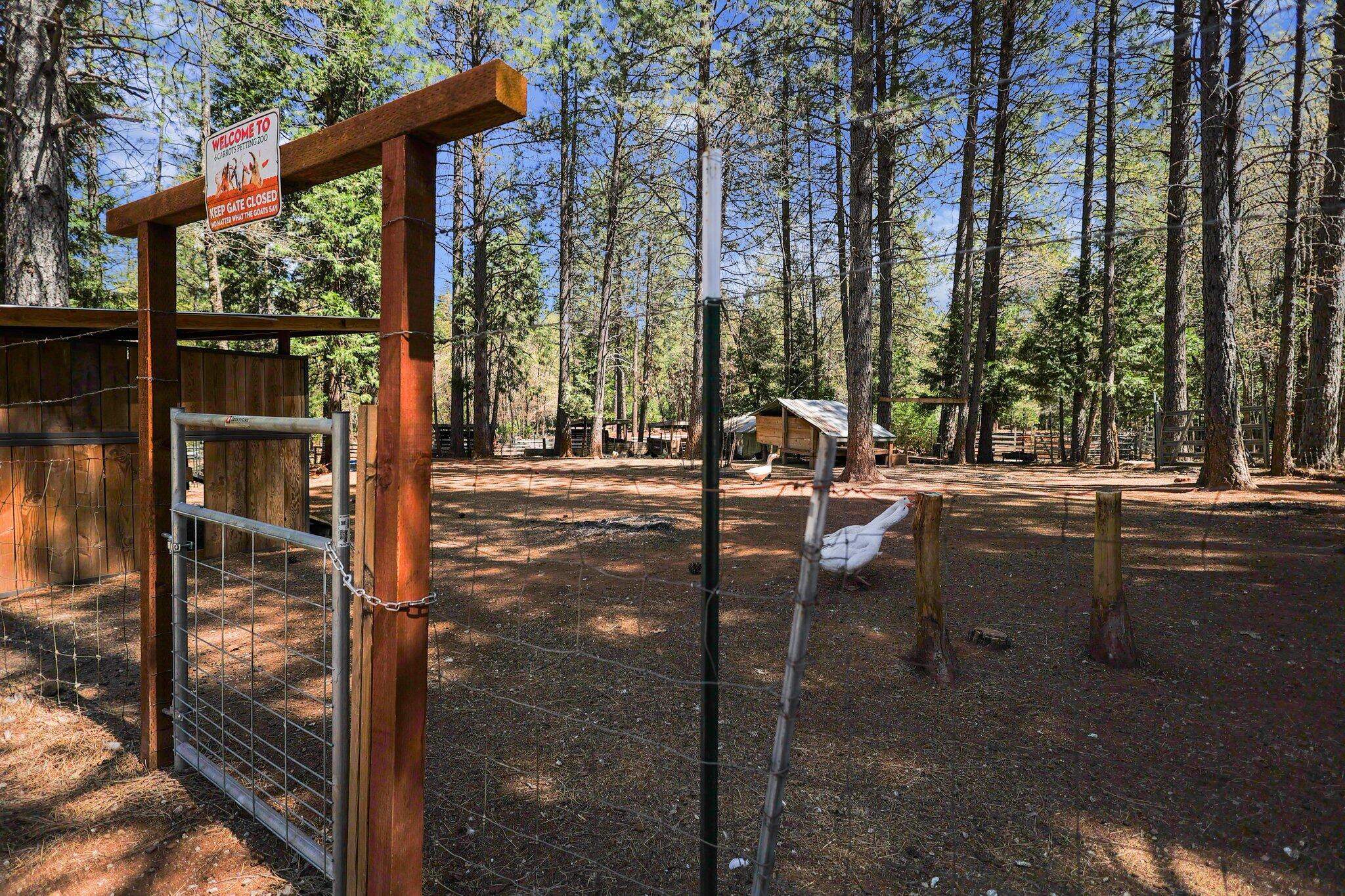 30726 Shingletown Ridge Road Shingletown, CA 96088 - Photo 37 of 84 14-web-or-mls-LZ0A1714