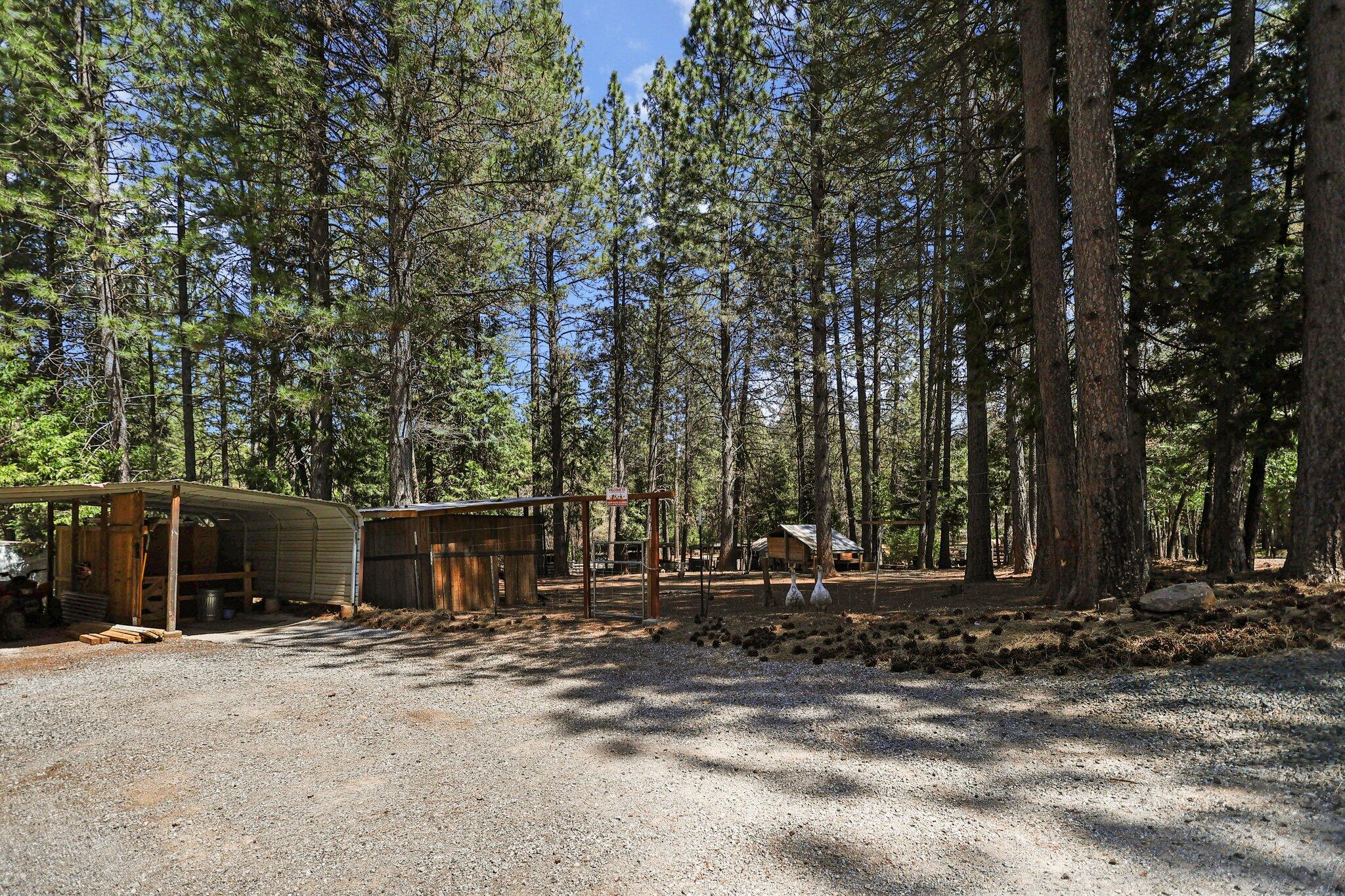 30726 Shingletown Ridge Road Shingletown, CA 96088 - Photo 38 of 84 13-web-or-mls-LZ0A1705