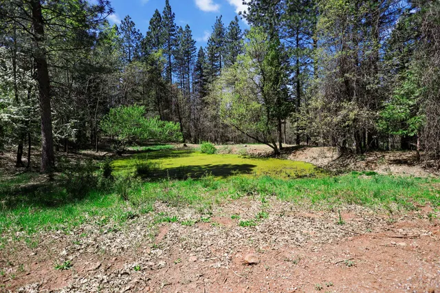 a backyard of a house