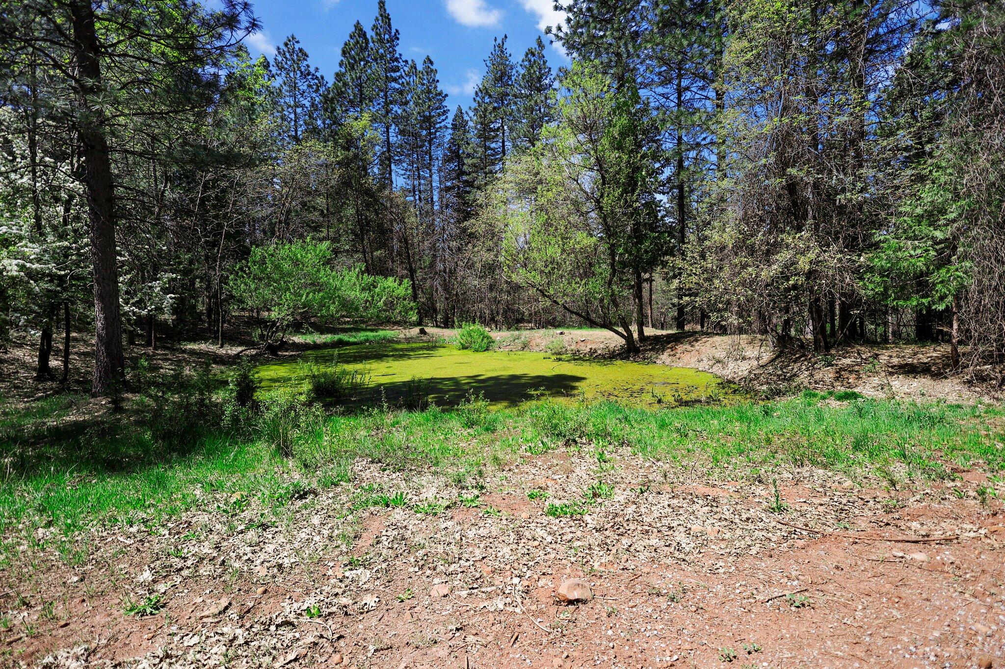 30726 Shingletown Ridge Road Shingletown, CA 96088 - Photo 39 of 84 a backyard of a house with a yard and lake view