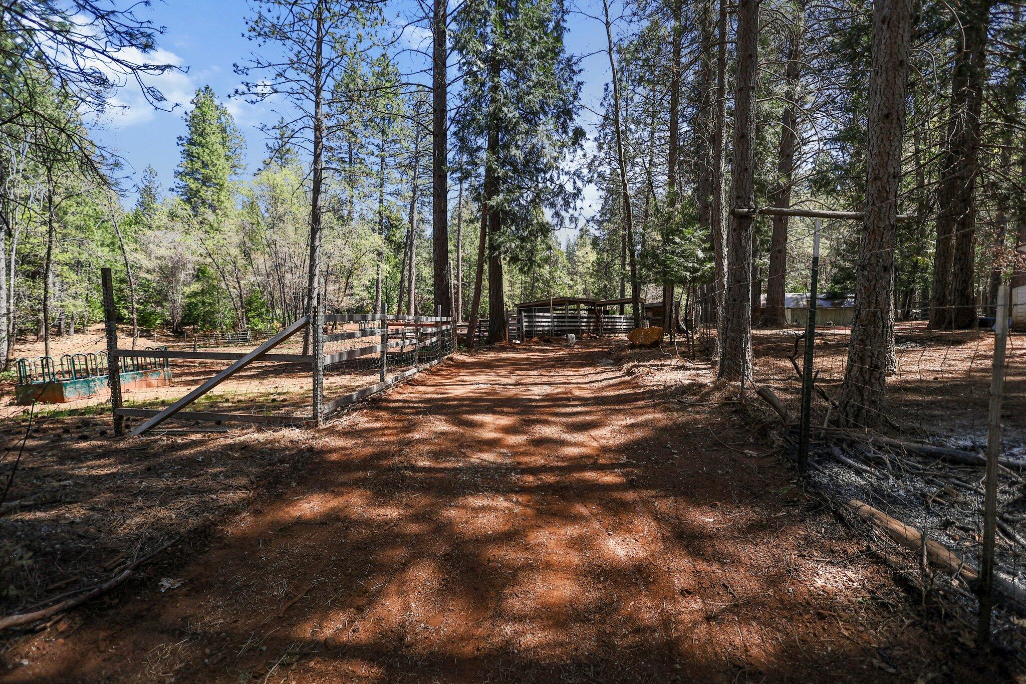 30726 Shingletown Ridge Road Shingletown, CA 96088 - Photo 41 of 84 19-web-or-mls-LZ0A1745