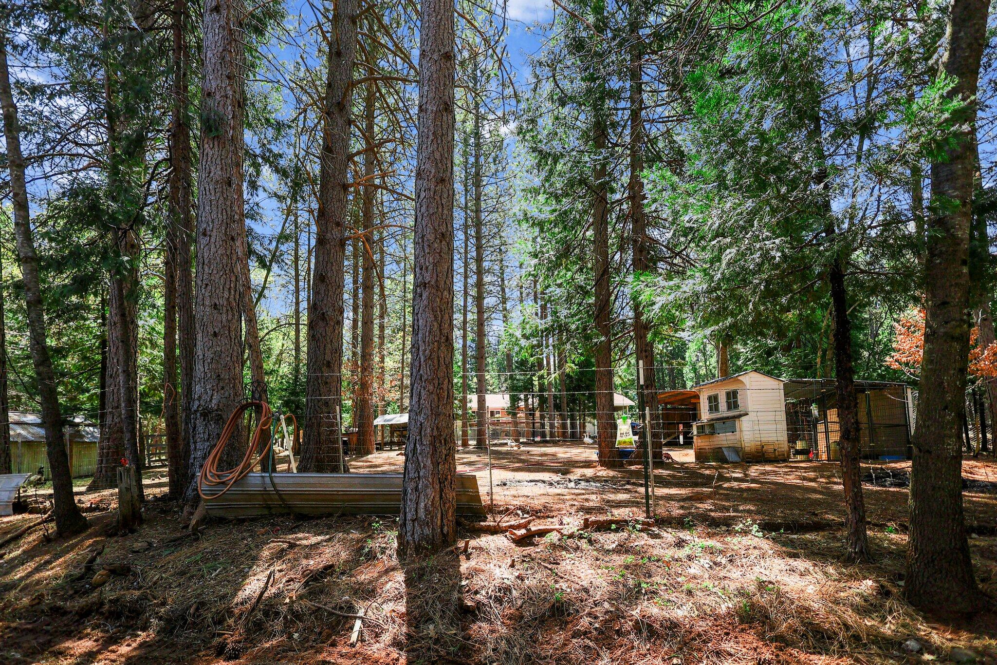 30726 Shingletown Ridge Road Shingletown, CA 96088 - Photo 44 of 84 21-web-or-mls-LZ0A1758