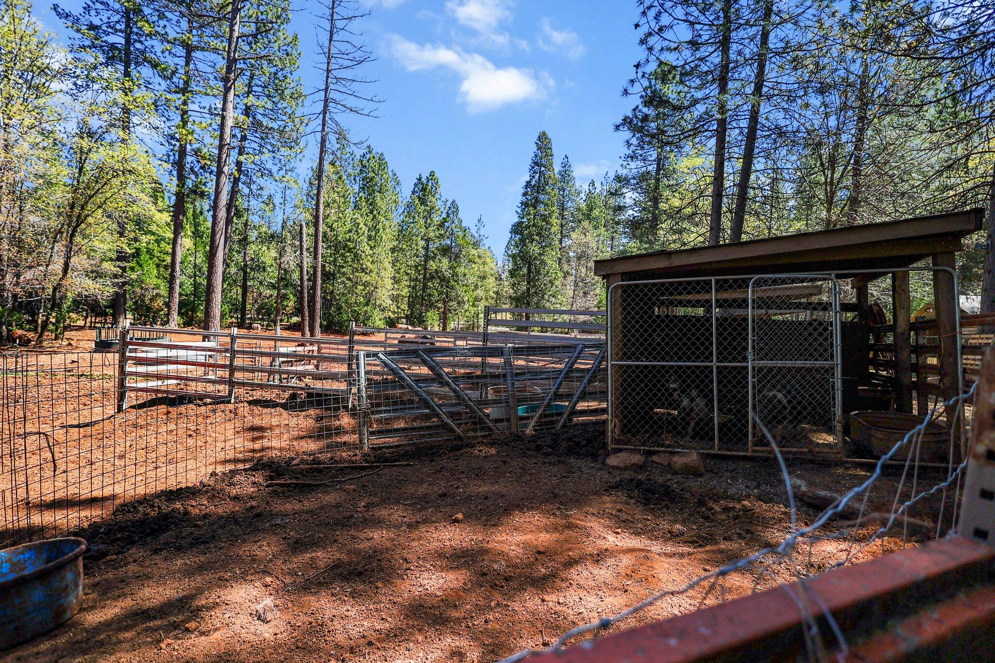 30726 Shingletown Ridge Road Shingletown, CA 96088 - Photo 45 of 84 a view of backyard with wooden fence and trees