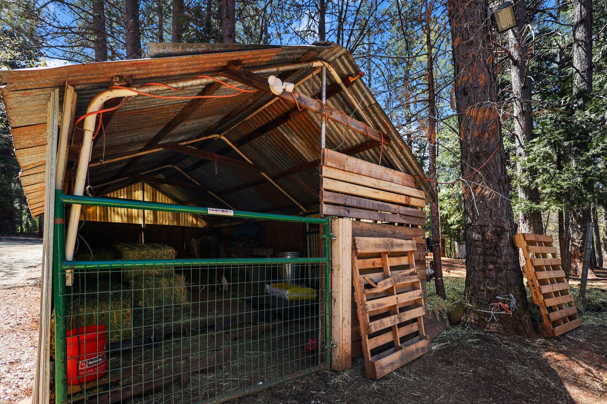 30726 Shingletown Ridge Road Shingletown, CA 96088 - Photo 47 of 84 25-web-or-mls-LZ0A1779