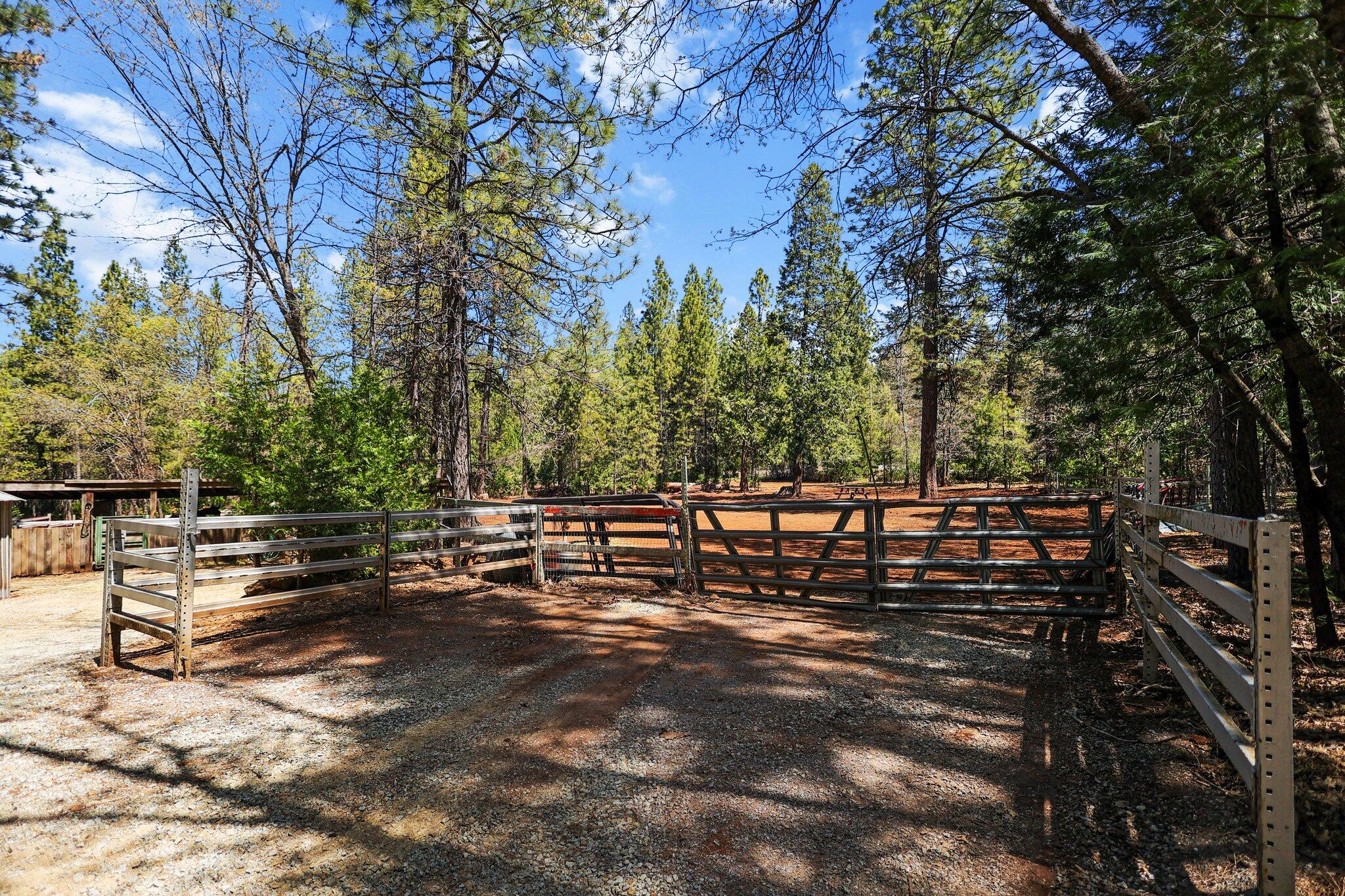30726 Shingletown Ridge Road Shingletown, CA 96088 - Photo 49 of 84 a view of a bench in a backyard of a house