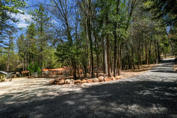 a view of outdoor area and garden