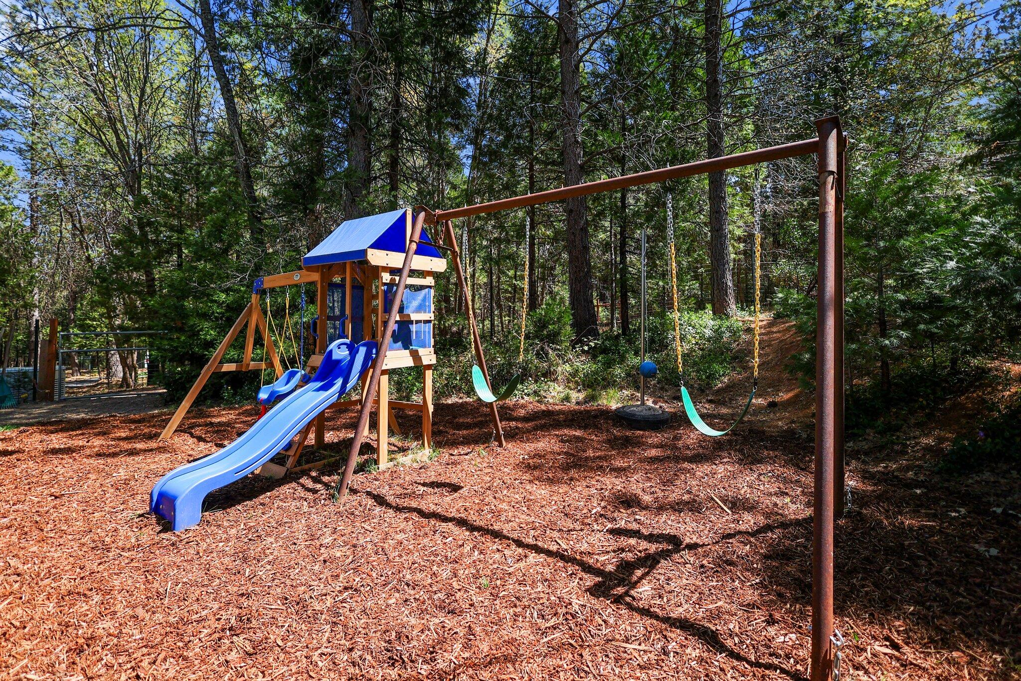 30726 Shingletown Ridge Road Shingletown, CA 96088 - Photo 58 of 84 41-web-or-mls-LZ0A1858