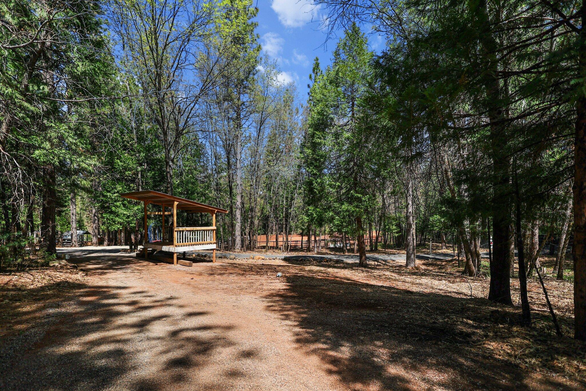 30726 Shingletown Ridge Road Shingletown, CA 96088 - Photo 60 of 84 45-web-or-mls-LZ0A1878