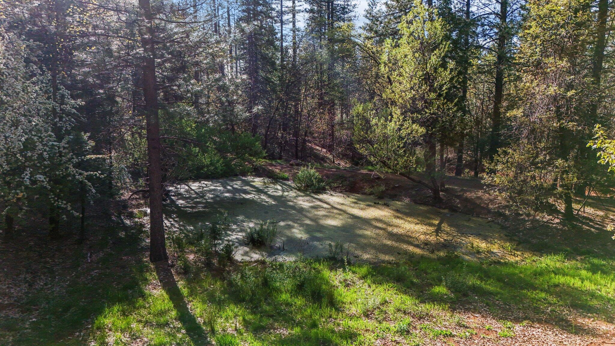 30726 Shingletown Ridge Road Shingletown, CA 96088 - Photo 68 of 84 58-web-or-mls-DJI_20250423170419_0189_D