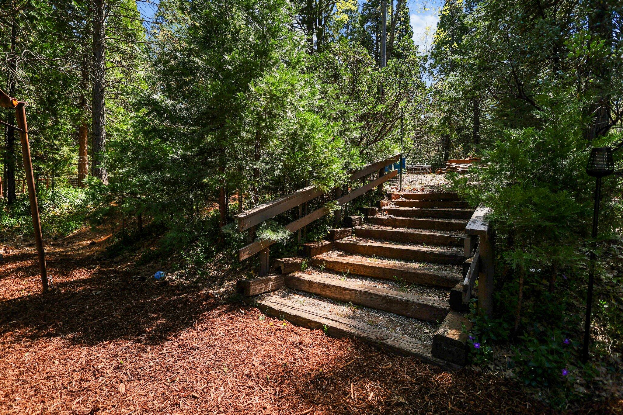 30726 Shingletown Ridge Road Shingletown, CA 96088 - Photo 69 of 84 a view of a yard with plants and a bench