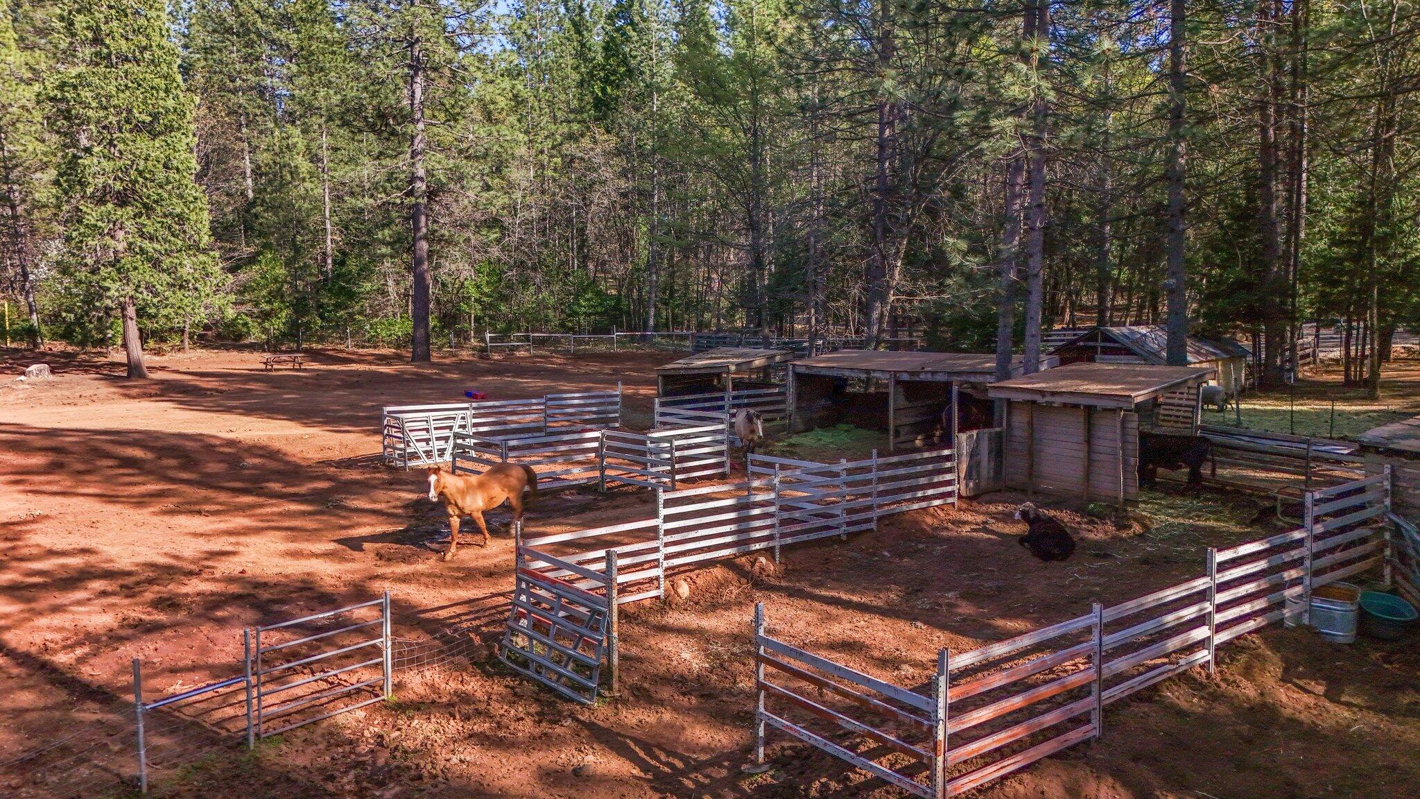 30726 Shingletown Ridge Road Shingletown, CA 96088 - Photo 71 of 84 a view of a chairs and tables in the back yard of the house